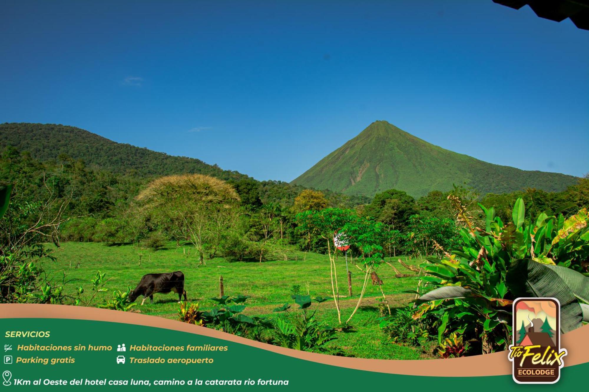 Tio Felix Eco Lodge La Fortuna Exterior photo
