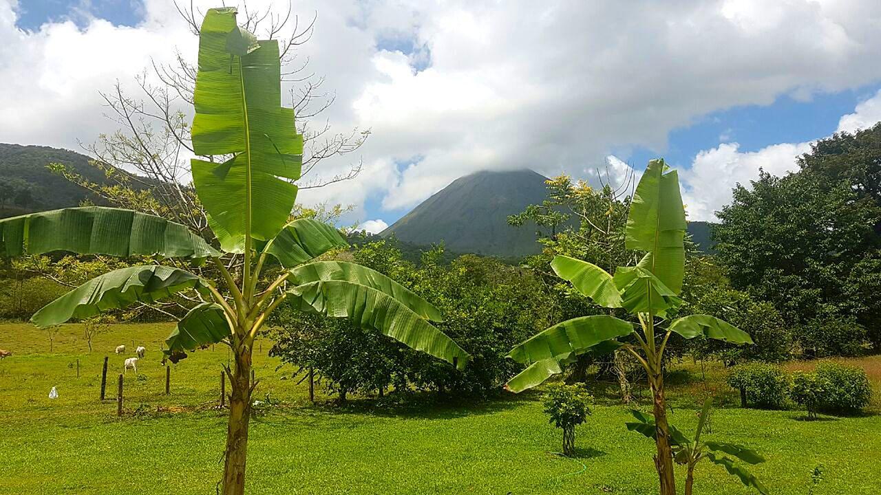 Tio Felix Eco Lodge La Fortuna Exterior photo