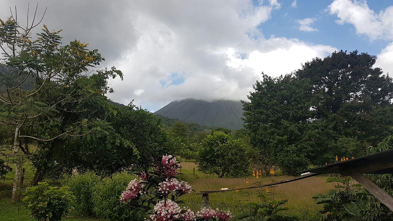 Tio Felix Eco Lodge La Fortuna Exterior photo