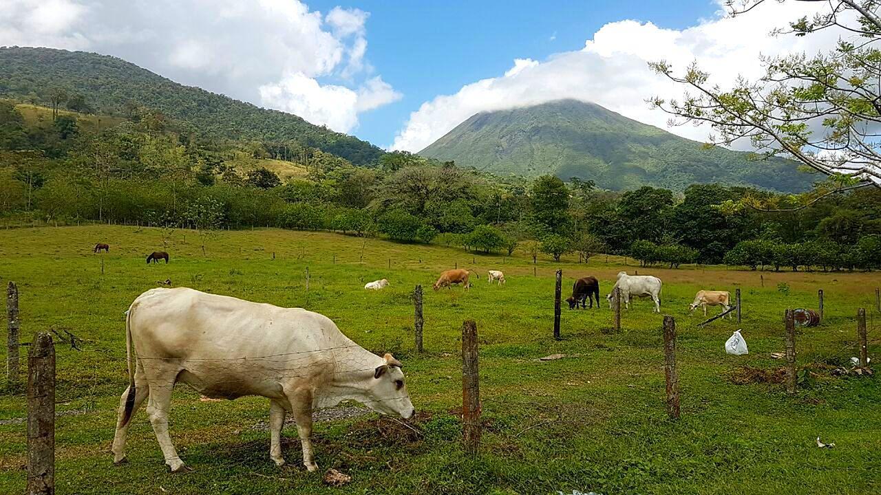 Tio Felix Eco Lodge La Fortuna Exterior photo