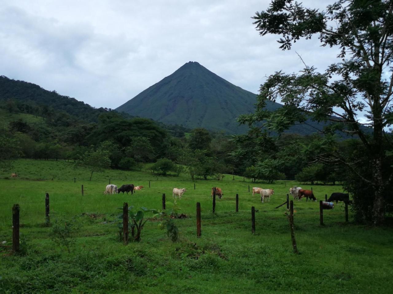 Tio Felix Eco Lodge La Fortuna Exterior photo