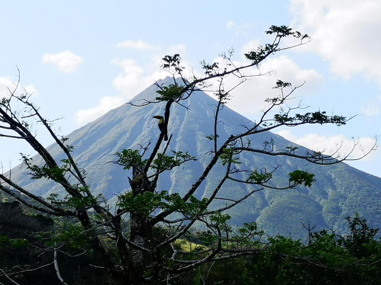 Tio Felix Eco Lodge La Fortuna Exterior photo