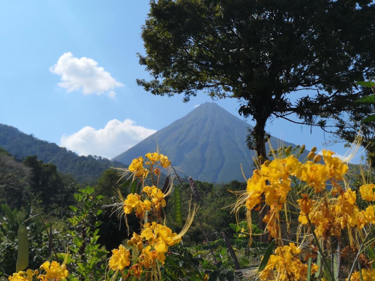 Tio Felix Eco Lodge La Fortuna Exterior photo
